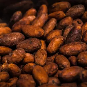Produkcja czekolady – jak powstaje ten wyjątkowy przysmak? Produkcja czekolady – jak powstaje ten wyjątkowy przysmak?